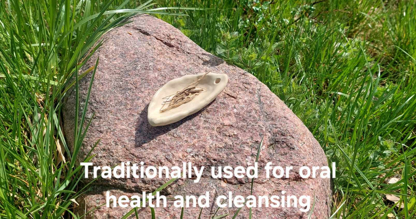 Chilcuague Root – Traditional Spicy Root from Mexico