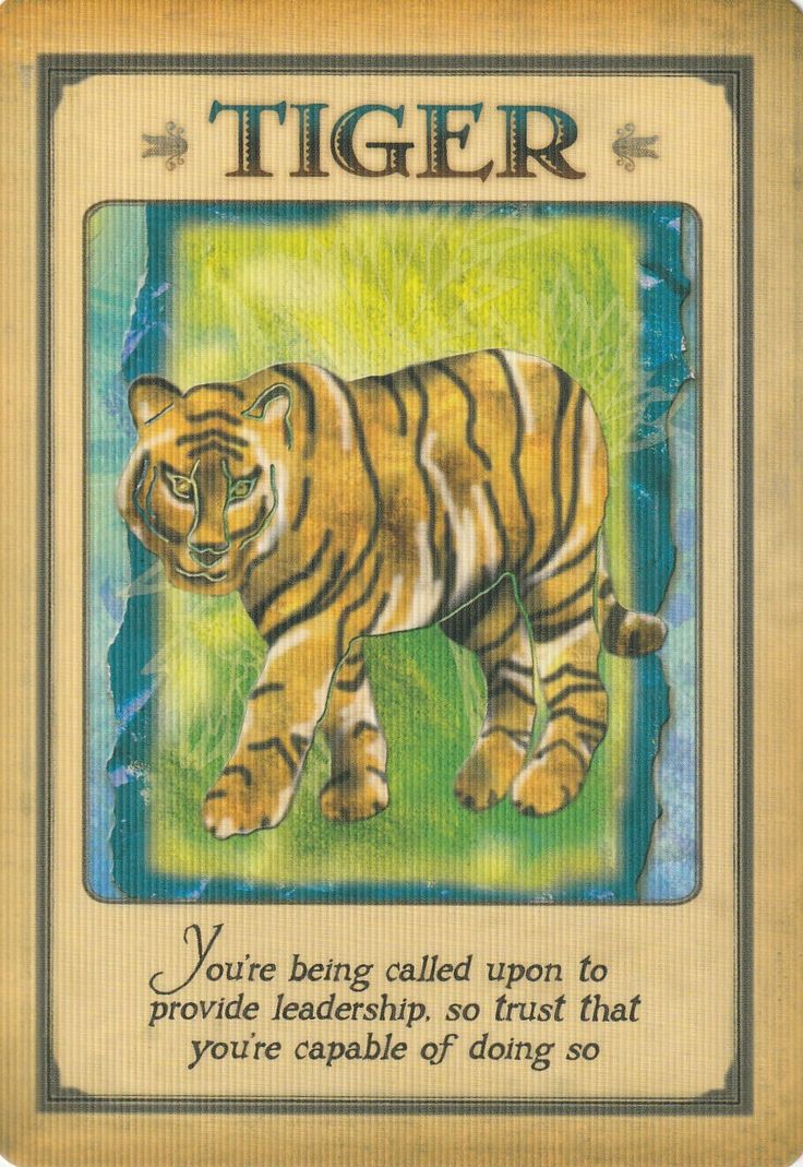 Messages from your Animal Spirit Guides Oracle Cards