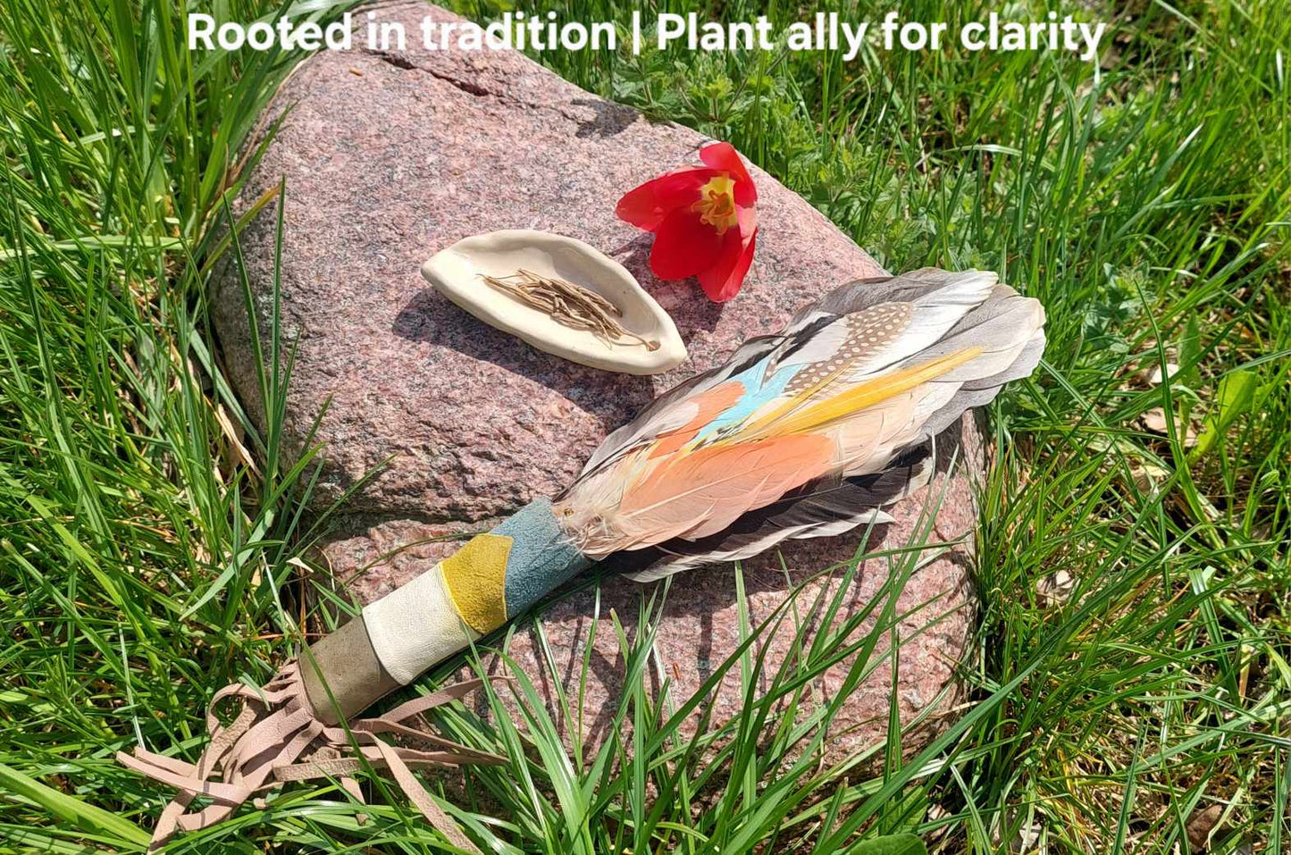Chilcuague Root – Traditional Spicy Root from Mexico