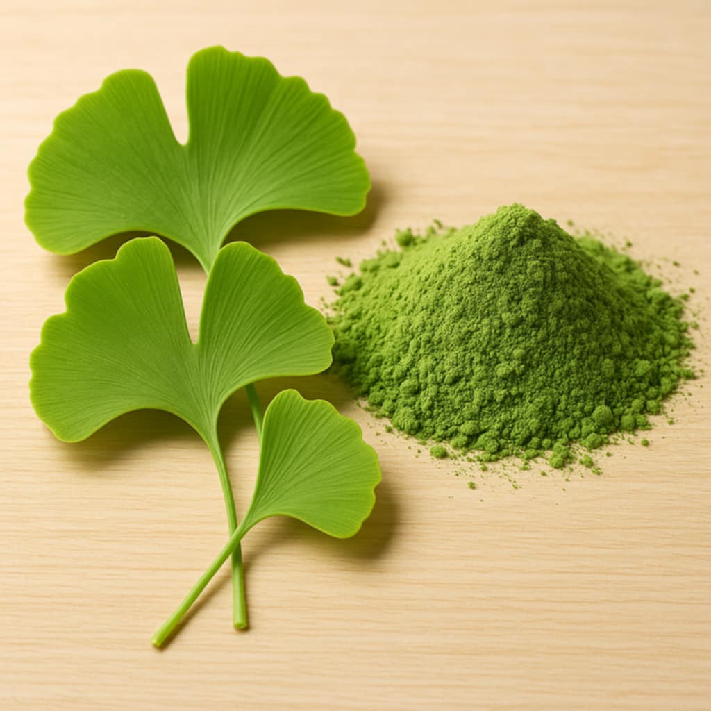 100 g Ginkmedžio (Ginkgo biloba) lapų miltelių