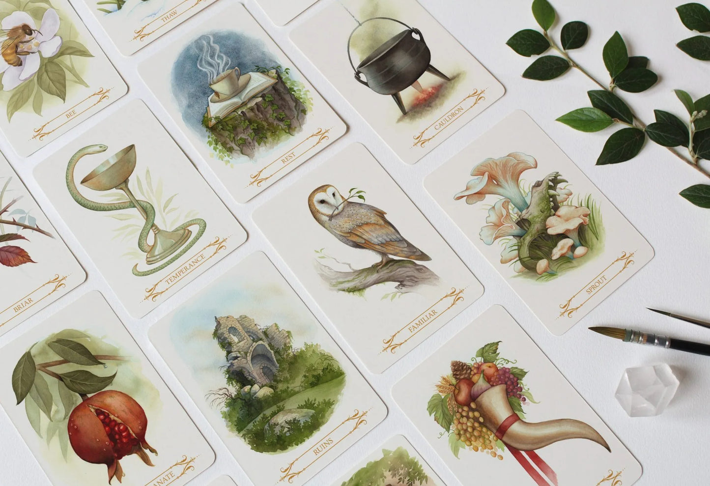 A Compendium of Witches