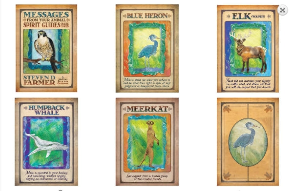 Messages from your Animal Spirit Guides Oracle Cards