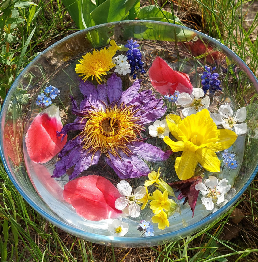 🌸 How to Make a Flower Bowl for Your Altar