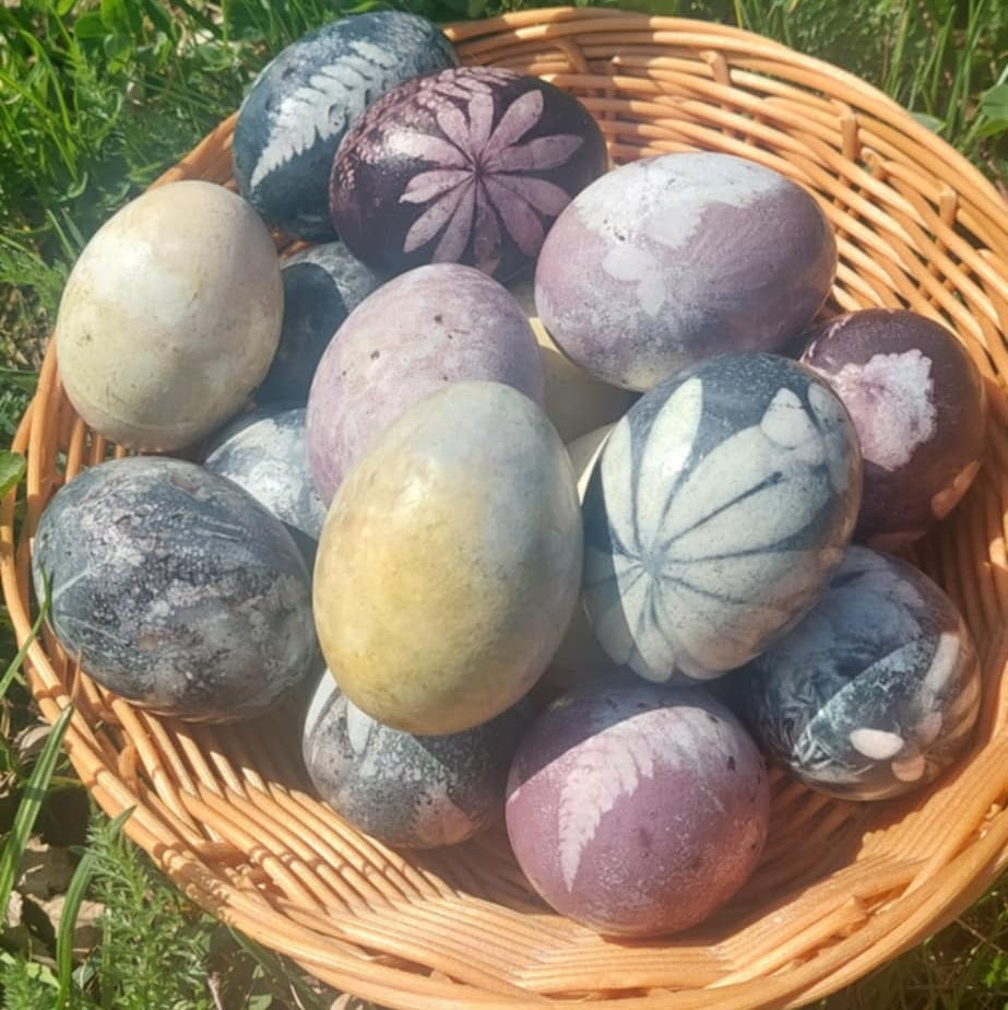 Dyeing Easter Eggs with Foods: A Natural Color Experiment