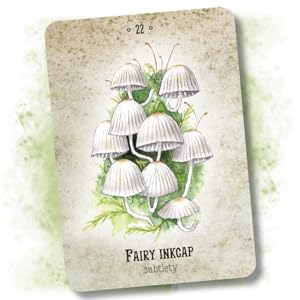 Mushroom Spirit Oracle