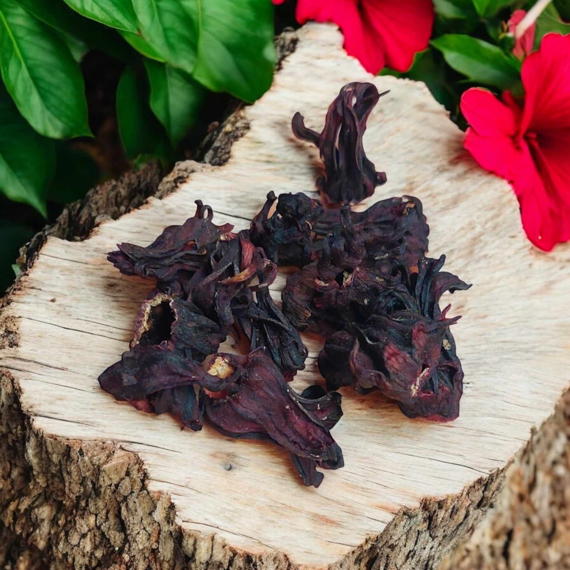 Close-up of karkade hibiscus flowers