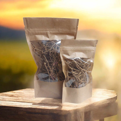 Chilcuague Root – Traditional Spicy Root from Mexico