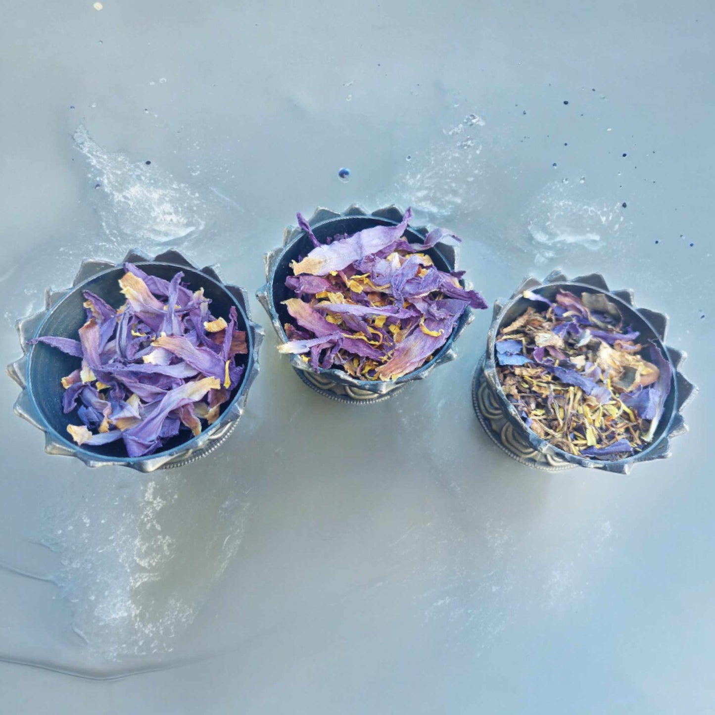 Džiovintas Egipto mėlynasis lotosas (Nymphaea Caerulea)