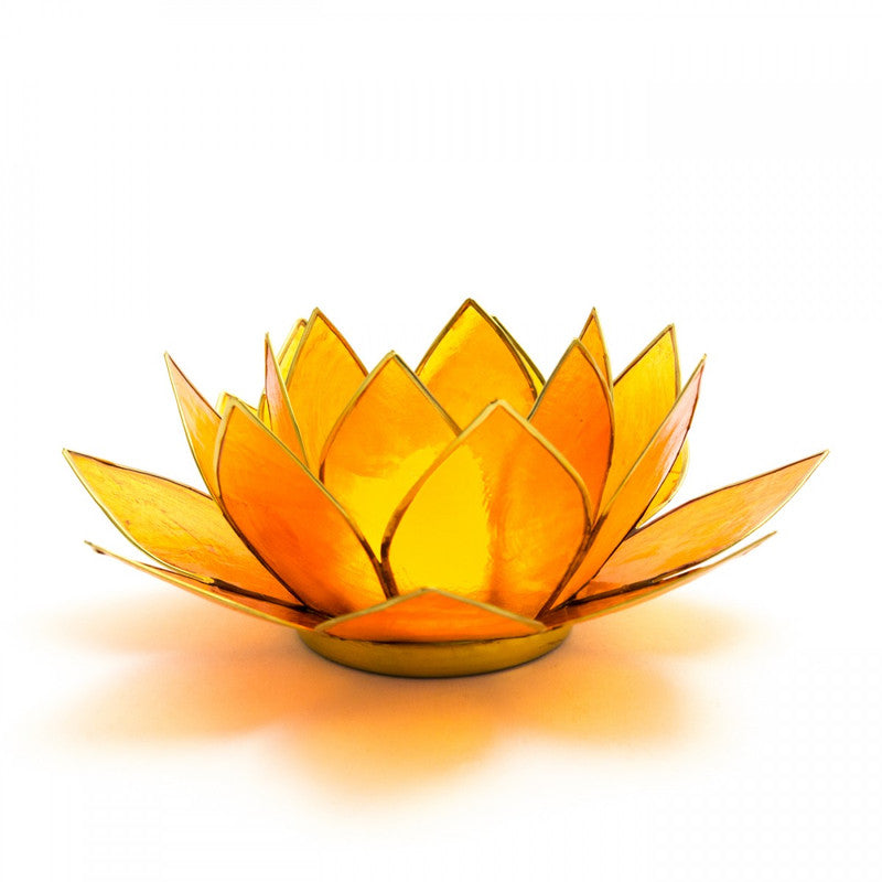 Capiz Shell Lotus Tealight Holders – Sacred Light in Colorful Petals