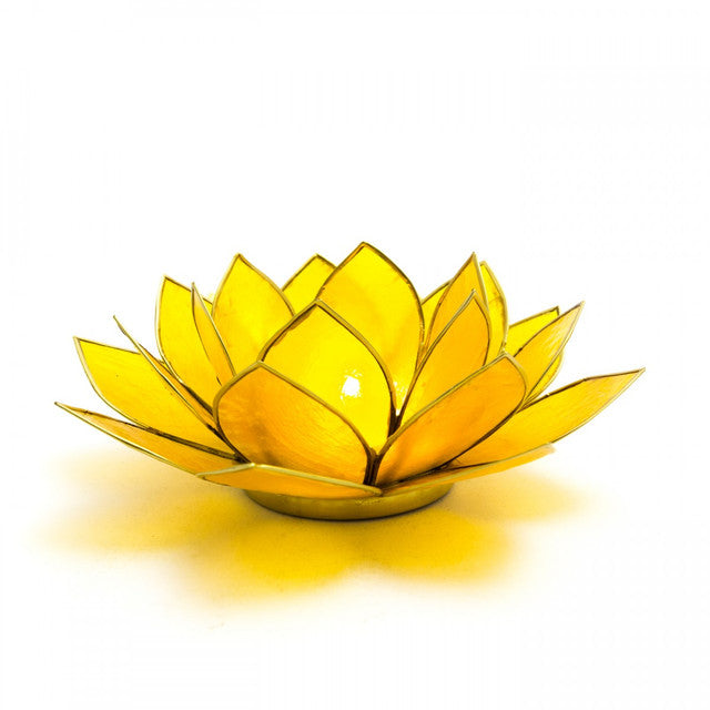 Capiz Shell Lotus Tealight Holders – Sacred Light in Colorful Petals