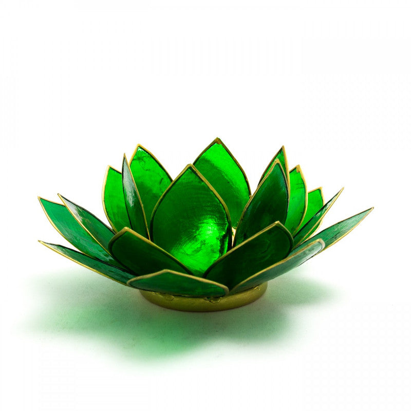 Capiz Shell Lotus Tealight Holders – Sacred Light in Colorful Petals