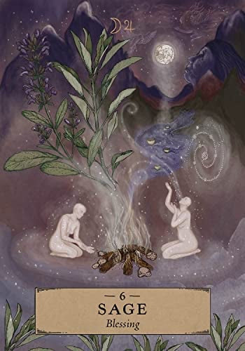 Herbal Astrology Oracle