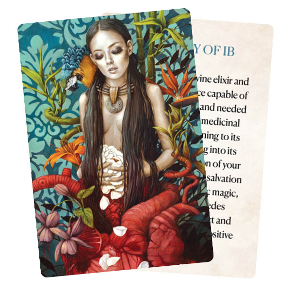 Medicine heart oracle (pocket)