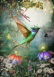 Hummingbird Wisdom Oracle