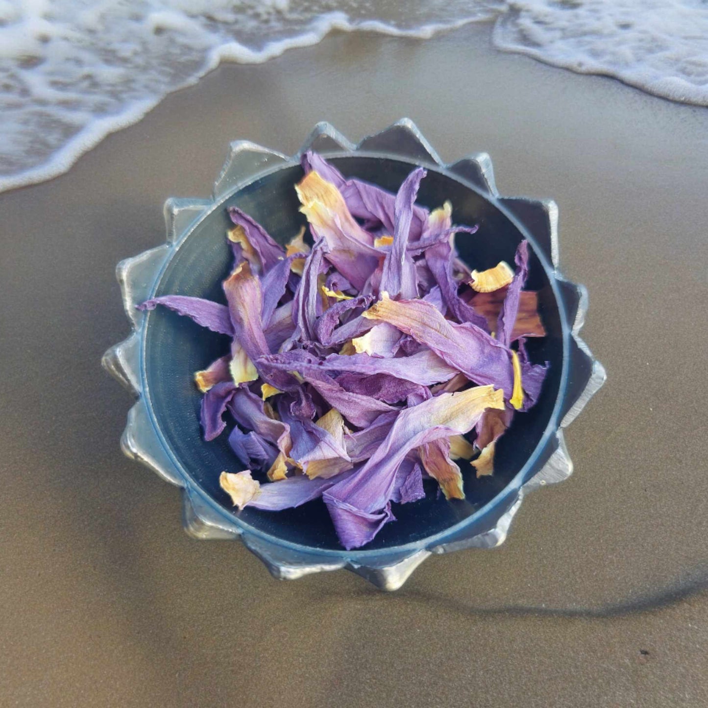 Džiovintas Egipto mėlynasis lotosas (Nymphaea Caerulea)