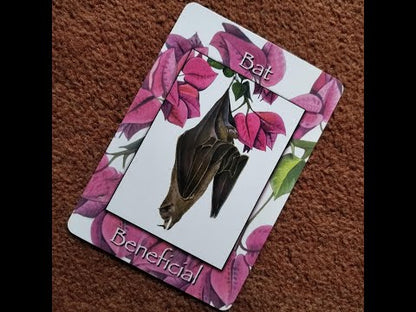 Nature's wisdom oracle
