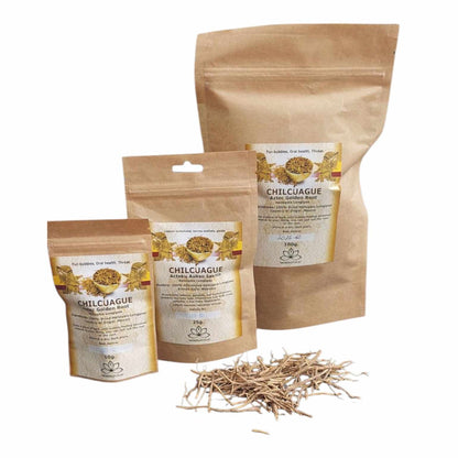 Chilcuague Root – Traditional Spicy Root from Mexico